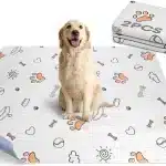 Dog Training Pad
