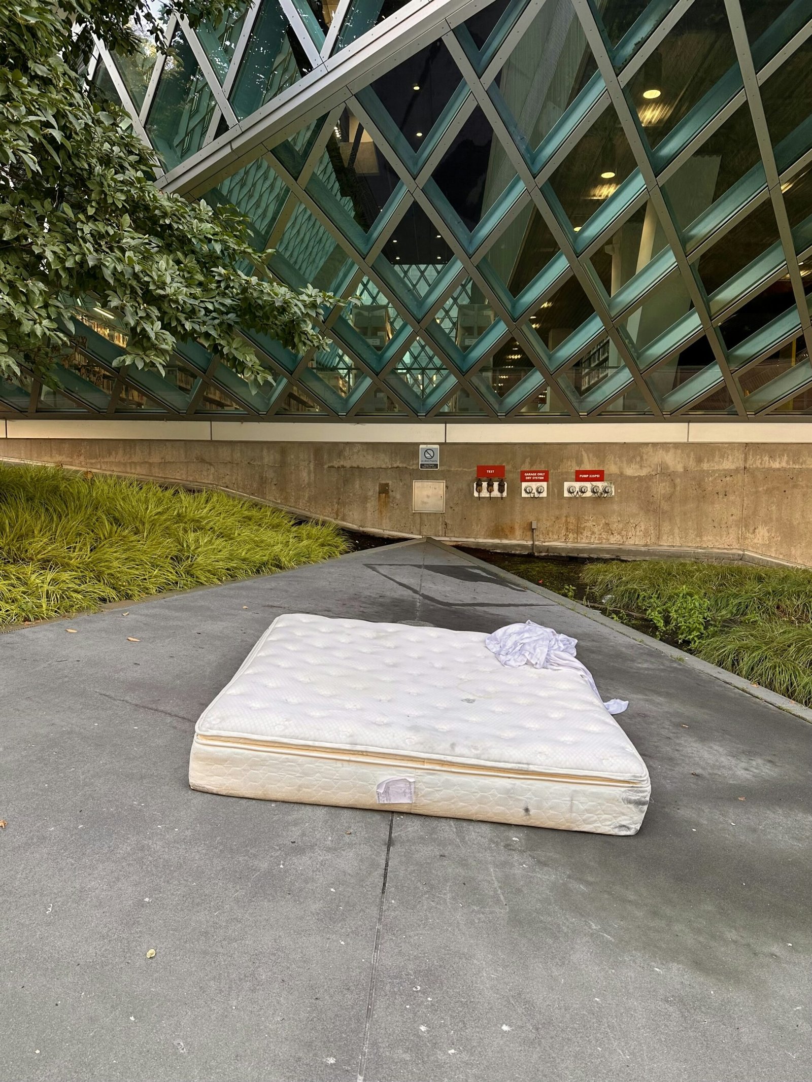 Fitted Sheet vs Mattress Protector: What You Need to Know