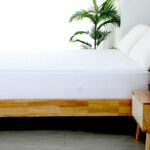 terry cotton mattress encasement